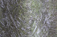 Long Oak fibreglass roof work